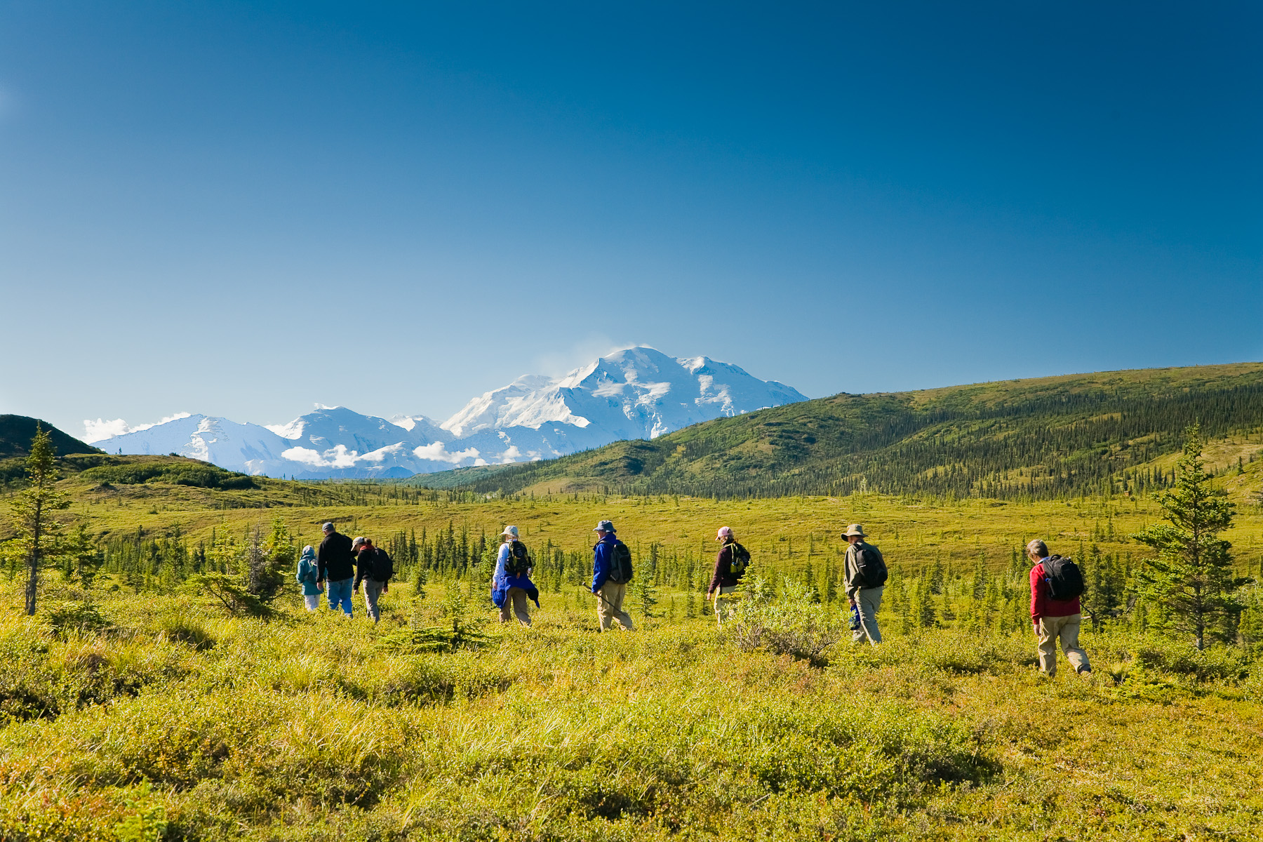 Top 15 Hiking and camping service provide in Anchornage Alaska share pricing and relevant links  Denali National Park and Preserve Camping: