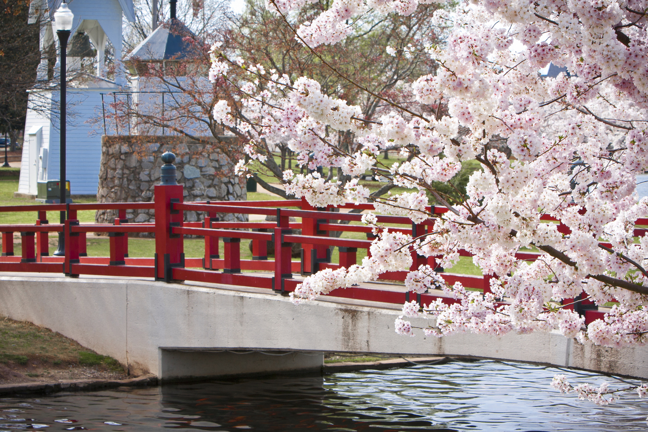 7. Big Spring International Park:  Urban Sanctuary