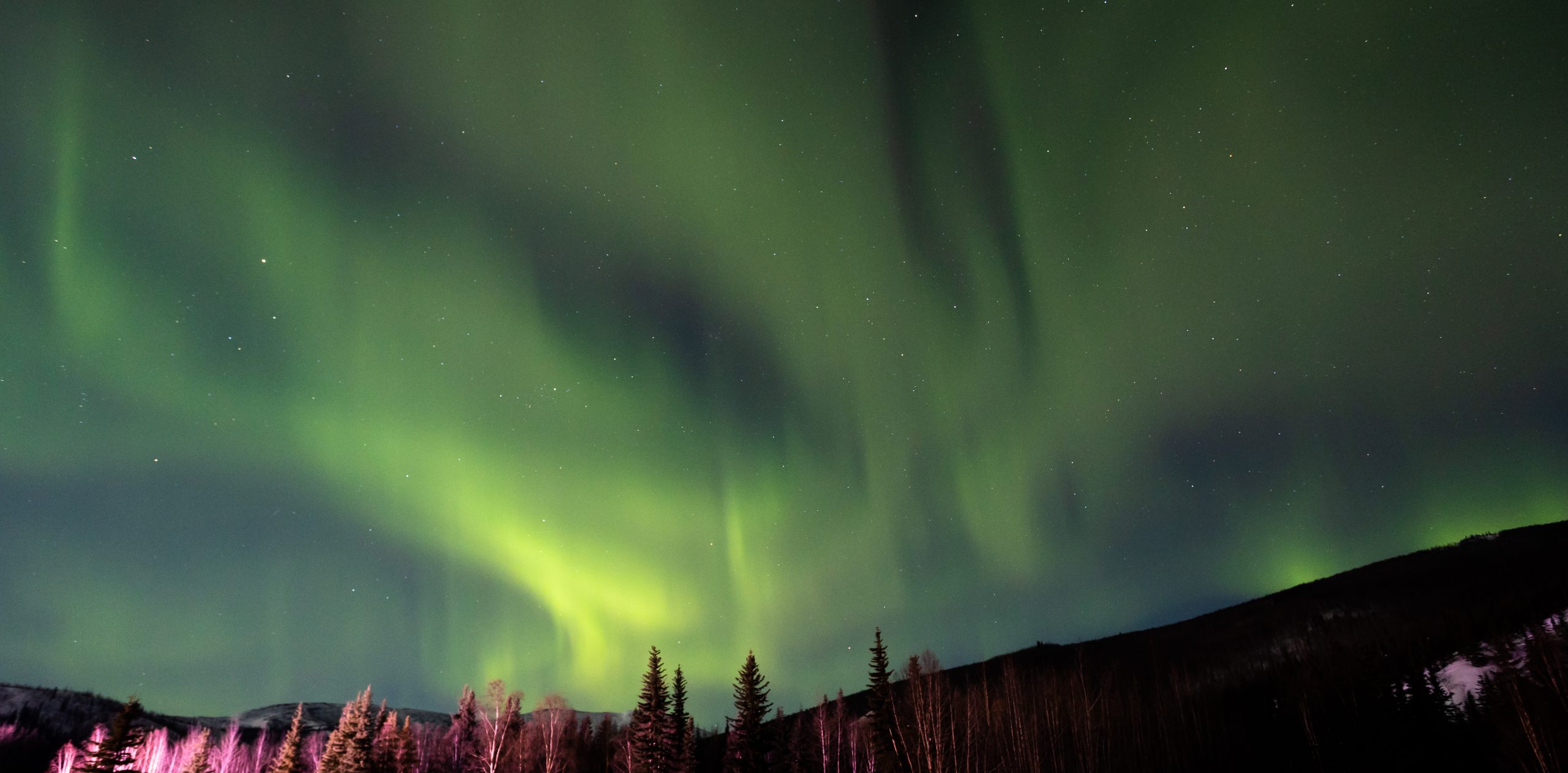 top 10 things to do in Anchorage Alaska  Hunt for Northern Lights: A Once-in-a-Lifetime Encounter